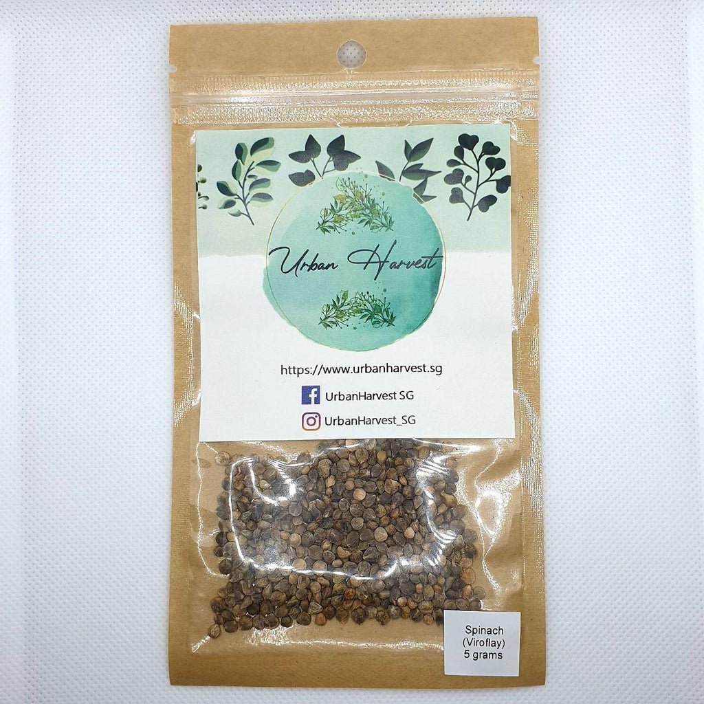 Sample sized seed packs now available