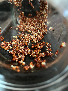 Easy & tasty: How to sprout broccoli seeds in water