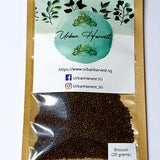 Broccoli Microgreen Seeds 25 grams