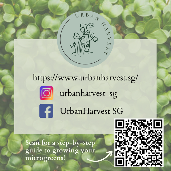 Urban Harvest Gift Cards.