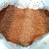 Triton radish seeds bulk sack