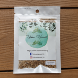 Endive microgreen seeds 25 grams