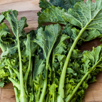 Turnip greens harvested