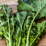 Turnip greens harvested