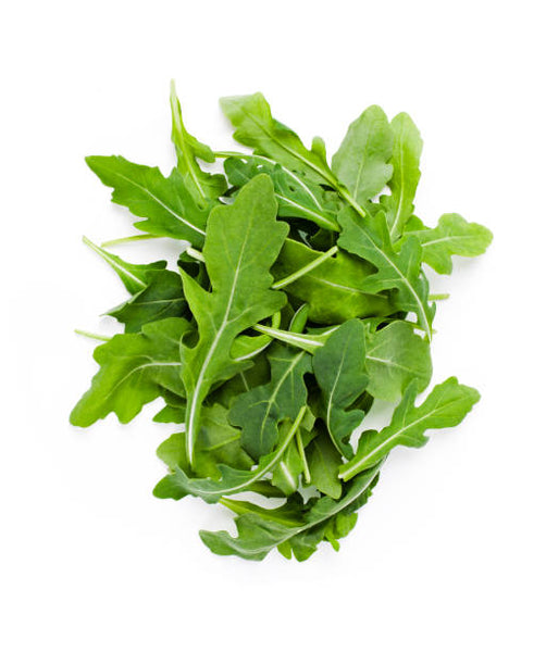 Rocket arugula leaves