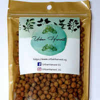 Maple pea seeds